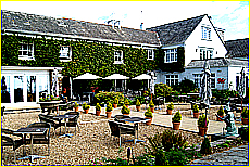 Cornwall Tourism Magazine - Doggy holidays in Cornwall - Polurrian Bay Hotel - Copyright - Ed Stone Web Design